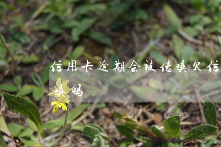 信用卡逾期会被传唤(欠信用卡会被派出所传唤吗?)