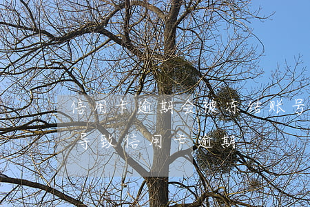 信用卡逾期会被冻结账号么(因为银行卡冻结导致信用卡逾期)