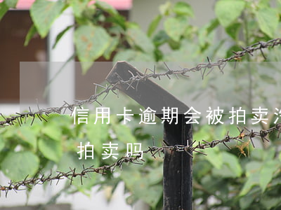信用卡逾期会被拍卖汽车吗(欠信用卡车会被拍卖吗)