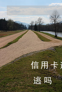 信用卡逾期会被挂网追逃吗(欠信用卡会挂网逃吗?)