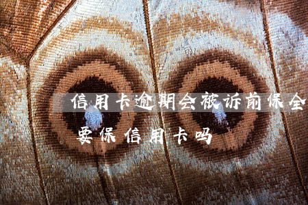 信用卡逾期会被诉前保全吗(全面逾期了有必要保信用卡吗)