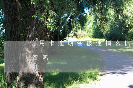 信用卡逾期会被逮捕么(信用卡逾期了会被拘留吗)