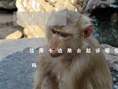 信用卡逾期会起诉哪些人(信用卡逾期会起诉吗)