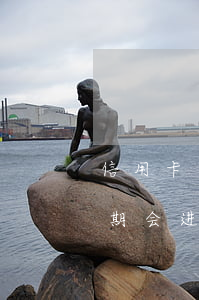 信用卡逾期会进入征信黑名单吗-信用卡逾期会进入征信黑名单吗知乎