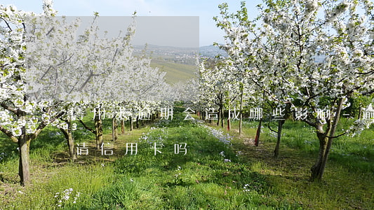 信用卡逾期会造成哪些影响-逾期会影响申请信用卡吗