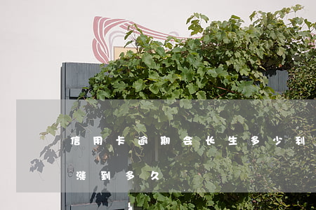 信用卡逾期会长生多少利息(信用逾期利息会涨到多久)