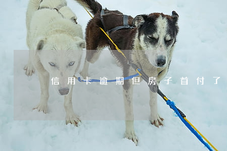 信用卡逾期但房子首付了(信用卡逾期買房)