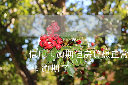 信用卡逾期但房貸想正常還(正在還房貸信用卡逾期了)