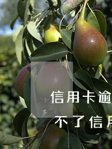 信用卡逾期但是也過期了(有過逾期是不是辦不了信用卡)