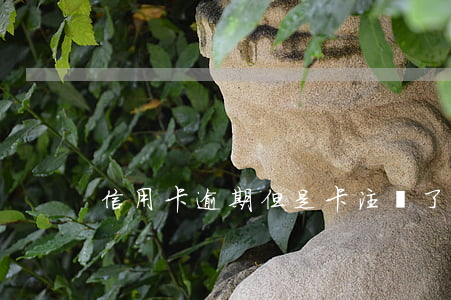信用卡逾期但是卡注銷了(信用卡 到期 注銷)
