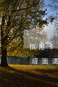 信用卡逾期但是后面還了-信用卡逾期但是后面還了會(huì)影響公積金貸款嗎