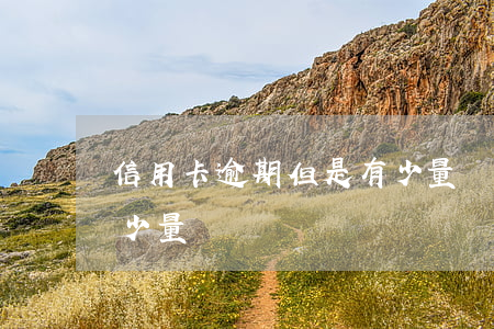 信用卡逾期但是有少量還(信用卡逾期但是有少量還)