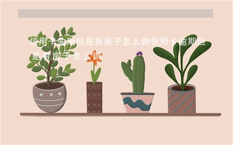信用卡逾期但是有房子怎么辦(信用卡逾期但是有房子怎么辦)