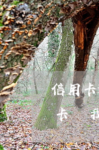 信用卡逾期但是有還款意愿(為什么還了信用卡,說我逾期了)