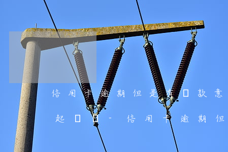 信用卡逾期但是有還款意愿還會(huì)起訴嗎-信用卡逾期但是有還款意愿還會(huì)起訴嗎