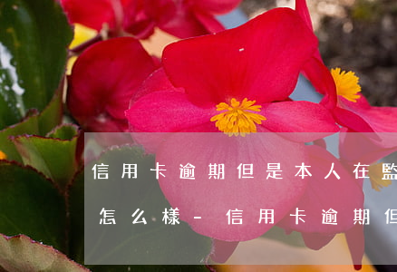 信用卡逾期但是本人在監(jiān)獄會怎么樣-信用卡逾期但是本人在監(jiān)獄會怎么樣呢