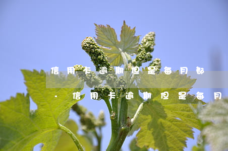 信用卡逾期但是每月都還一點(diǎn)-信用卡逾期但是每月都還一點(diǎn)會(huì)不會(huì)定性成詐騙
