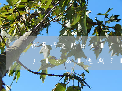 信用卡逾期但是沒(méi)錢(qián)還怎么辦(逾期了,實(shí)在沒(méi)錢(qián)還怎么辦)