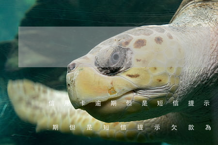 信用卡逾期但是短信提示欠款為零 信用卡逾期但是短信提示欠款為零