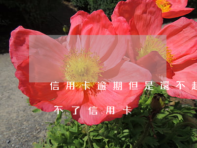 信用卡逾期但是還不起-有過逾期是不是辦不了信用卡