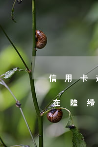 信用卡逾期但是都還清了(信用卡逾期了但還在陸續(xù)還一些錢(qián))