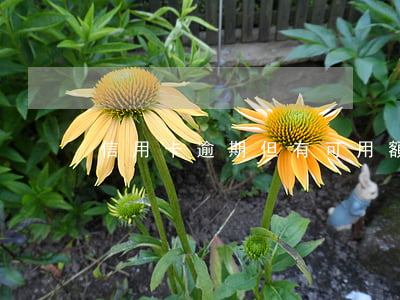 信用卡逾期但有可用額度