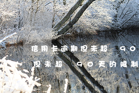 信用卡逾期但未超過90天的-信用卡逾期但未超過90天的限制