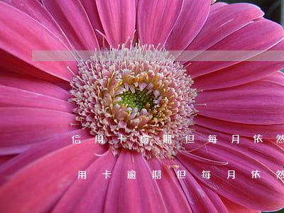 信用卡逾期但每月依然還錢(qián)(信用卡逾期但每月依然還錢(qián)利息會(huì)增加嗎)