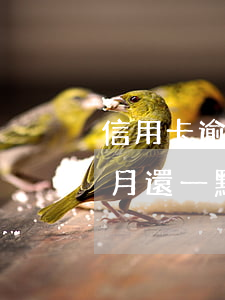 信用卡逾期但每月還一點點 信用卡逾期但每月還一點點