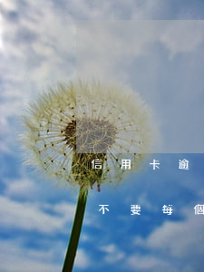 信用卡逾期但每月都還了(信用卡逾期到底要不要每個月還一點)