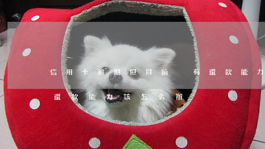 信用卡逾期但目前沒有還款能力 逾期了沒有還款能力該怎么辦