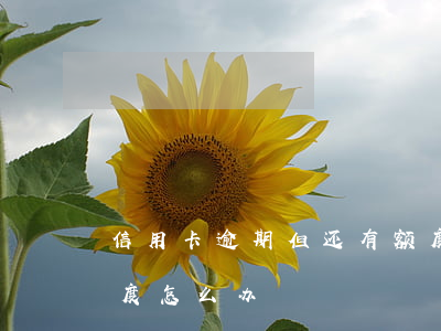信用卡逾期但还有额度 信用卡逾期但还有额度怎么办
