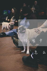 信用卡逾期但還有額度 信用卡逾期但還有額度怎么辦
