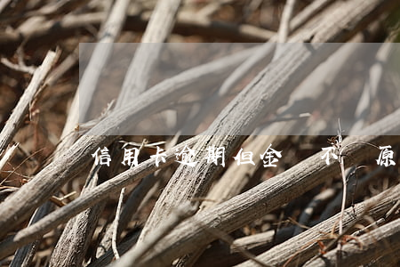 信用卡逾期但金額不變：原因及解決辦法