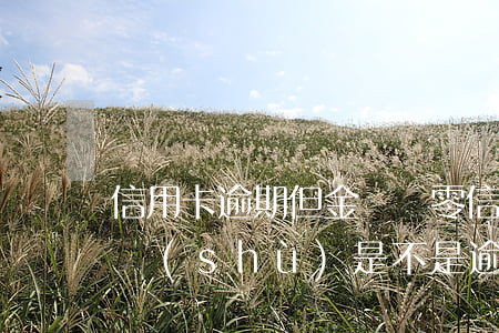 信用卡逾期但金額為零(信用卡賬戶余額為負數(shù)是不是逾期了)