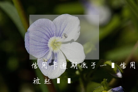 信用卡逾期低于一萬(信用卡逾期低于一萬會被起訴嗎)