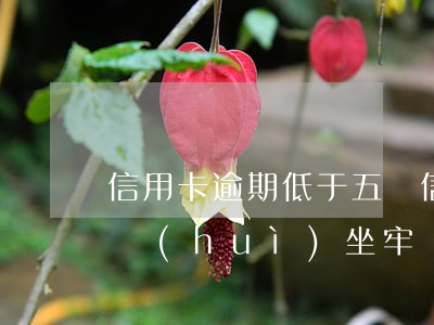 信用卡逾期低于五萬(信用卡逾期低于五萬的會(huì)坐牢嗎)