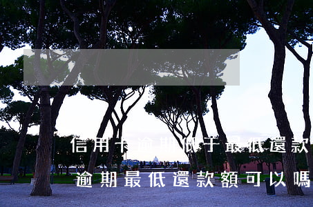 信用卡逾期低于最低還款會(huì)怎樣(逾期最低還款額可以嗎)