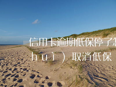 信用卡逾期低保停了怎么辦(欠信用卡錢會(huì)取消低保嗎)