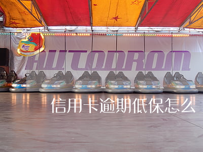 信用卡逾期低保怎么辦（信用卡逾期低保怎么辦）