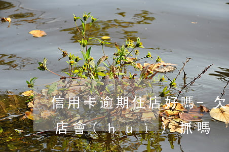 信用卡逾期住店好嗎-欠信用卡三年了住酒店會(huì)抓嗎