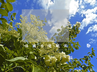 信用卡逾期住賓館影響嗎(欠信用卡住酒店會(huì)抓嗎)