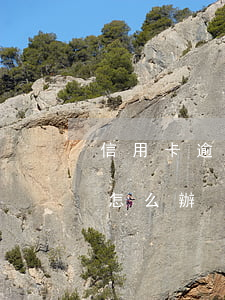 信用卡逾期作廢了如何處理(信息用卡逾期了怎么辦)