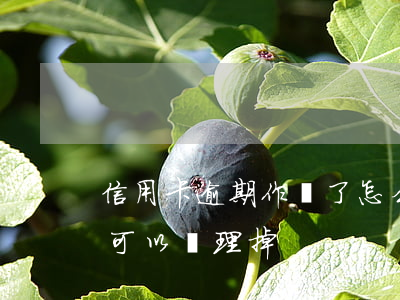 信用卡逾期作廢了怎么還款(信用卡逾期怎么可以處理掉)