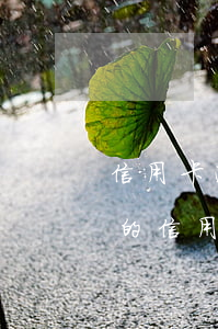 信用卡逾期作廢怎么繼續(xù)使用(作廢的信用卡怎么處理)