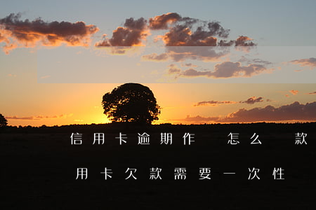 信用卡逾期作廢怎么還款(信用卡逾期被取消用卡欠款需要一次性還嗎)