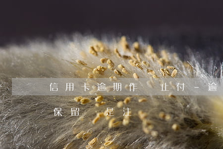 信用卡逾期作廢止付-逾期停用的信用卡是保留還是注銷