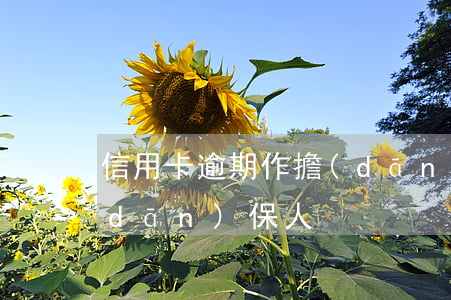 信用卡逾期作擔(dān)保(逾期貸款擔(dān)保人)
