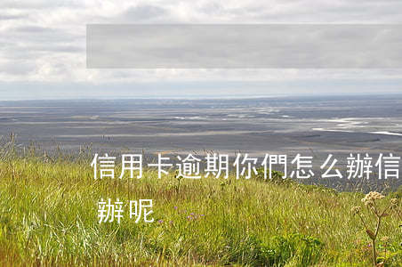 信用卡逾期你們怎么辦 信用卡逾期你們怎么辦呢