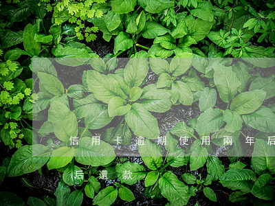 信用卡逾期使用兩年后(信用卡逾期使用兩年后還款)
